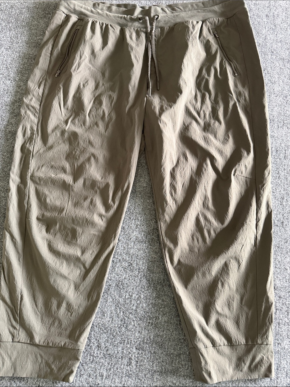 Athleta Trekkie North Jogger Short Size 22